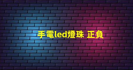 手電led燈珠 正負(fù)